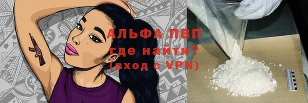 индика Сафоново