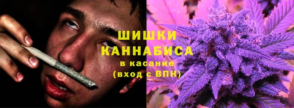 дживик Сатка