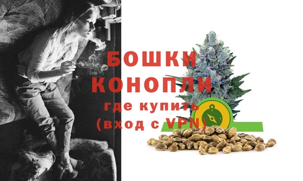 индика Сафоново