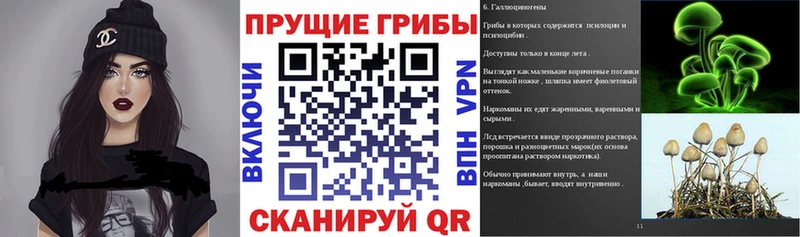 Галлюциногенные грибы Psilocybe  Очёр 